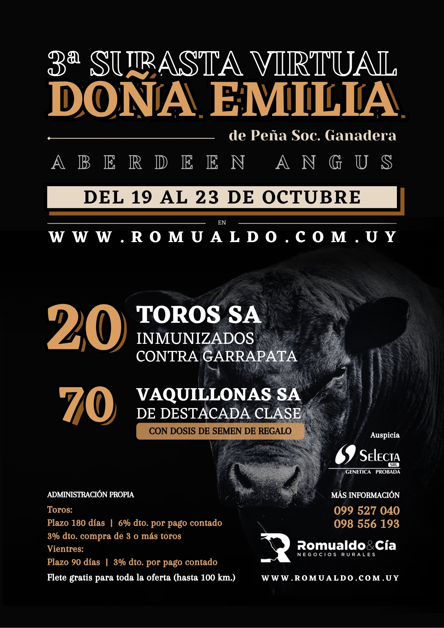 3ª Subasta Online Doña Emilia